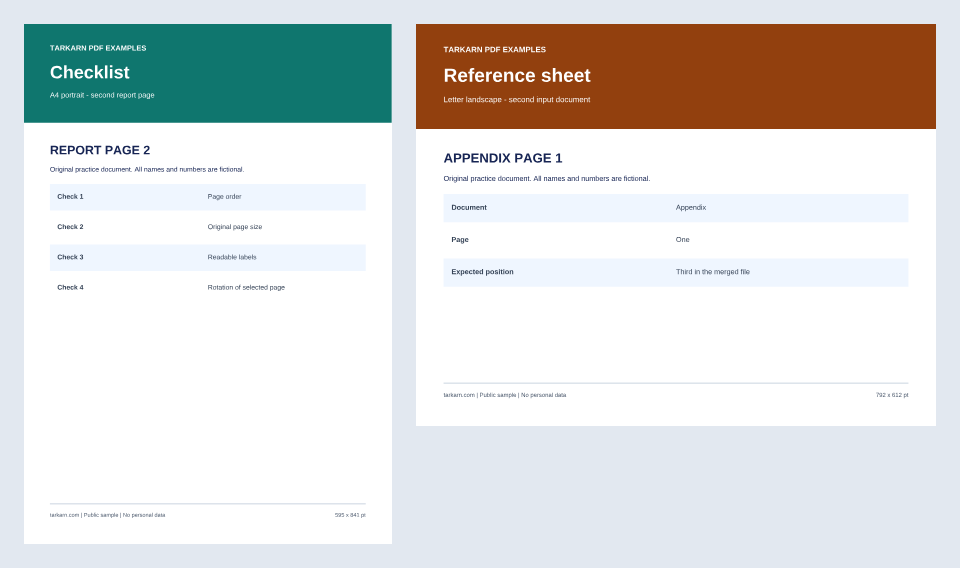 Expected split PDF: REPORT PAGE 2 followed by APPENDIX PAGE 1, with their original page sizes.